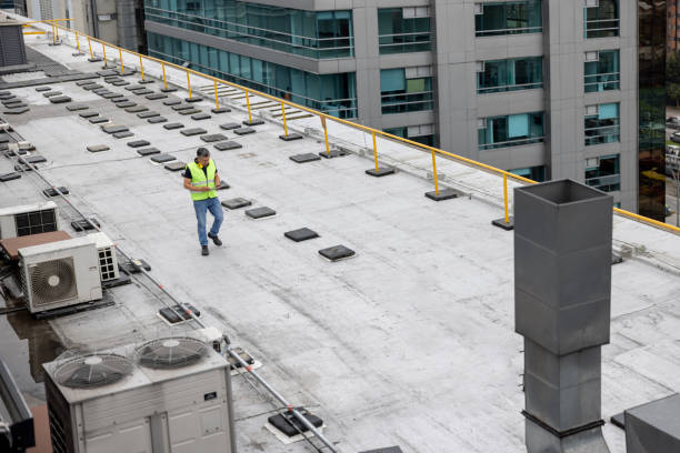 Best Roof Coating and Sealing  in Stedman, NC