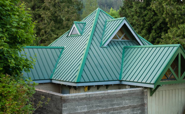 Best Storm Damage Roof Repair  in Stedman, NC